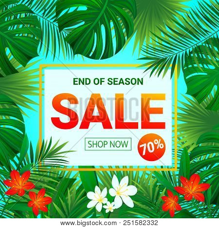 Sale Banner. Seasonal Promotion Poster. Summer Tropic Sellout Design.floral Background With Exotic T