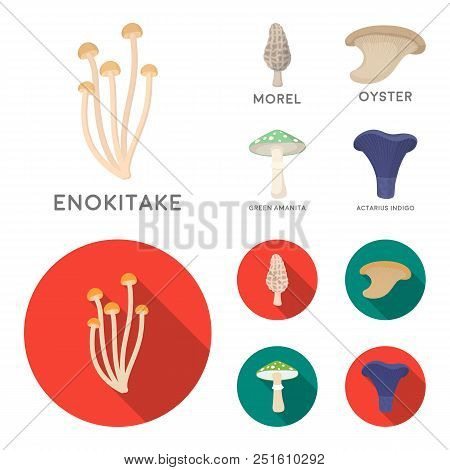 Morel, Oyster, Green Amanita, Actariu , Indigo. Set Collection Icons In Cartoon, Flat Style Vector S