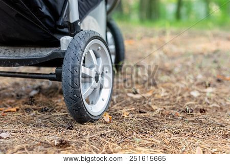 Stroller Over Needles Foliage In Coniferous Forest. Walking With Baby Pram At Natural Park With Fres