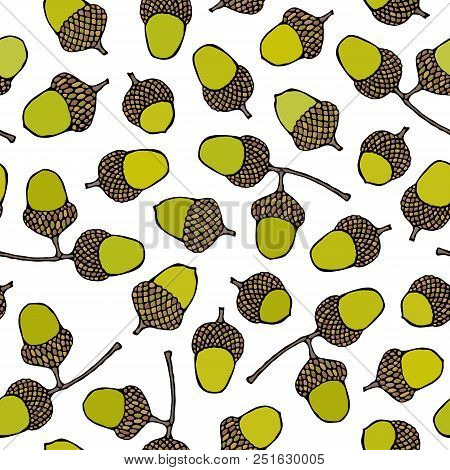 Seamless Endless Pattern Of Green Acorns. Autumn Or Fall Vegetable Harvest Collection. Realistic Han