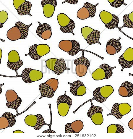 Seamless Endless Pattern Of Green Brown Acorns. Autumn Or Fall Vegetable Harvest Collection. Realist