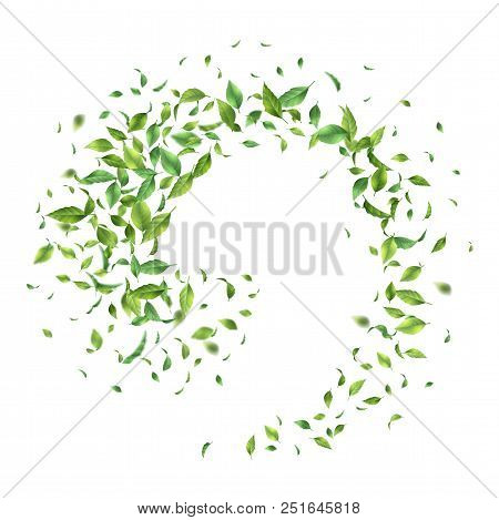 Green Flying Or Falling Off Leaves. Vector Abstract Foliage Background