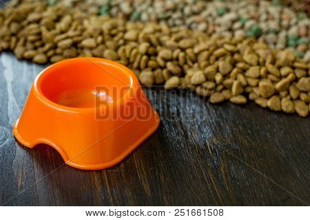 Small Orange Bowl For Pet Food And Dry Food As Background