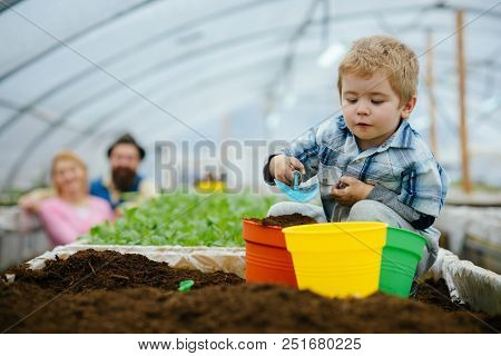 Geodesic Dome. Modern Geodesic Dome In Future Gardening. New Technology Of Geodesic Dome. Geodesic D
