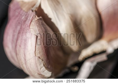 Super Close-up Macro Of White Garlic (allium Sativum) With Shell. Raw Garlic (allium Sativum) With R
