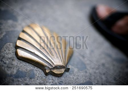 Santiago shell close up in Jaca, Huesca, Aragon, Spain.