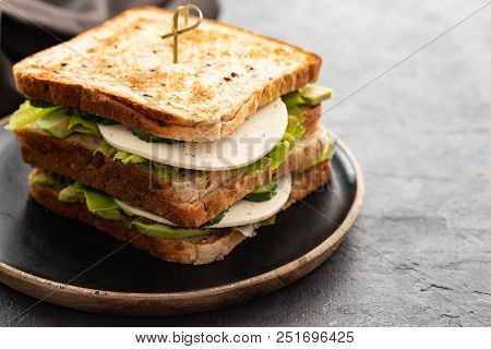 Healthy Homemade Vegetarian Veggie Sandwich With Lettuce, Avocado, Cheese.