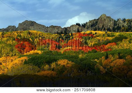 Kebler Pass In Autumn Near Vail, Colorado