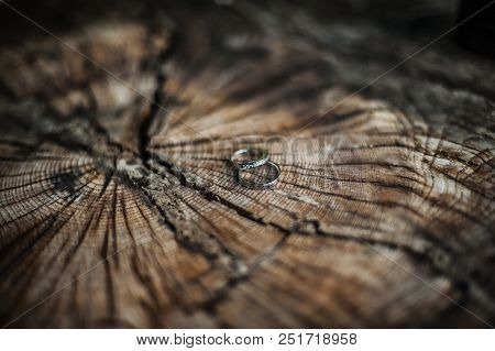 Two Wedding Rings On A Wooden Board With Cracks