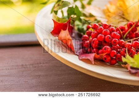 Composition Of Autumn Berries, Leaves And Fruits On A Dark Wooden Background