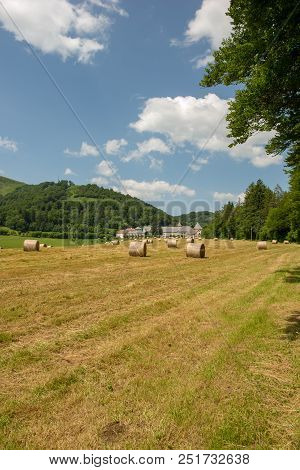 The Road To Santiago Between Roncesvalles And Zubiri