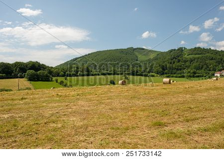 The Road To Santiago Between Roncesvalles And Zubiri