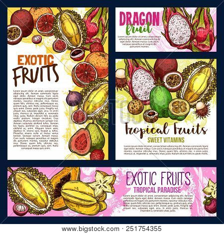 Exotic Fruits Sketch Banners And Posters Of Durian, Papaya Or Mango And Mangosteen. Vector Harvest O