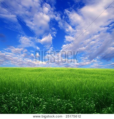 Gröna fält och blå himmel