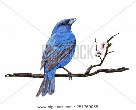 Realistic Sakura Blossom - Japanese Cherry Tree Isolated On White Background. A Croaking Bird On A C