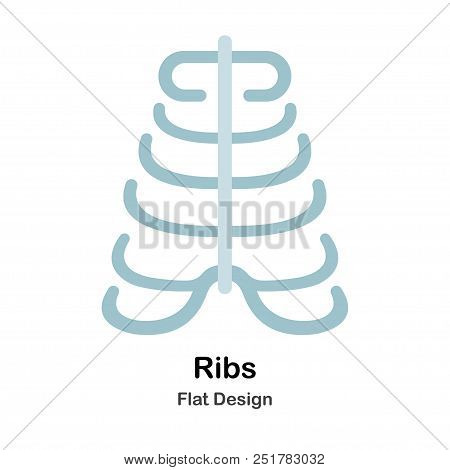 Human Ribs In Flat Vector Illustration Design Icon