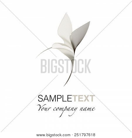 Stylized Hummingbird On White Background. Good For Logo