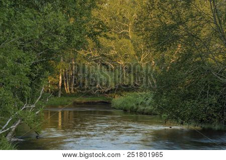 Tepla Vltava River Near Soumarsky Most Village And Camping Place