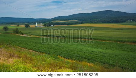 Farm Land At The Base Of The Mountain
