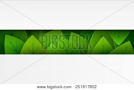 Banner Postcard Green Leaves On A White Background With Empty Space For Your Text