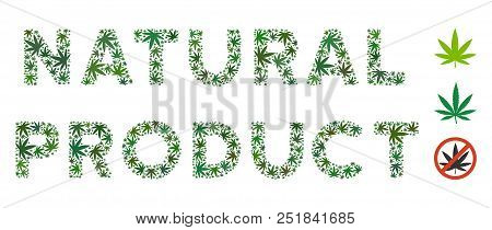 Natura Product Label Collage Of Weed Leaves In Variable Sizes And Green Hues. Vector Flat Ganja Obje