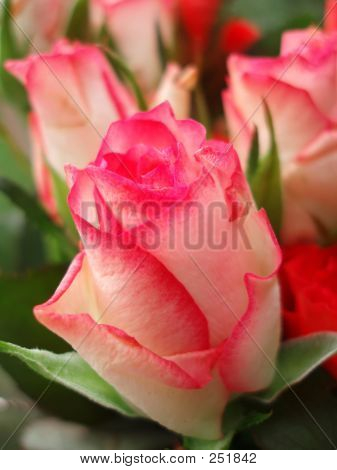 Mazzo di rose rosse