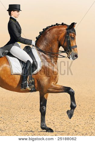 Equestrian sport - dressur (Nærbillede af ung kvinde og rød hingst)