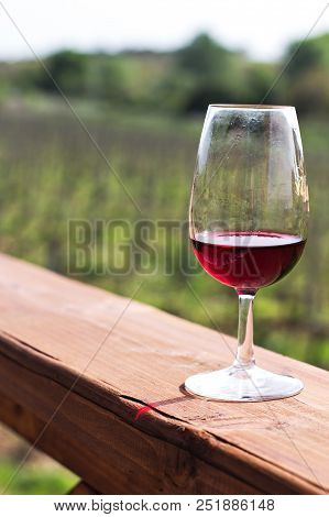 Glasses With Wine. Red, Pink, White Wine In Glasses.