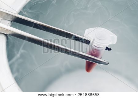 Blood Sample For Long-term Storage. Liquid Nitrogen Bank Storage