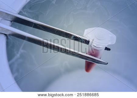 Blood Sample For Long-term Storage. Liquid Nitrogen Bank Storage