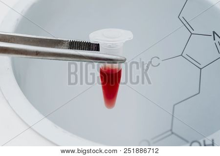 Blood In A Tube For Long-term Storage In Liquid Nitrogen Bank  For Cryostorage
