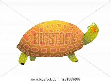 Isolated Tortoiseshell Clip Art Watercolor Style. Vector Illustration.