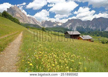 Puez Odle Mountain Range Viewed From A Hiking Path Near Raiser Pass With Mountain Huts And Yellow Fl