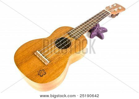 Jahrgang Ukulele