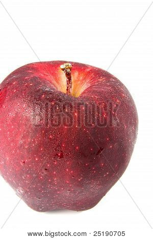 Fresh Red Apple