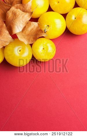 Ripe Juicy Colorful Yellow Plums With Dry Orange Leaves On Dark Red Crimson Burgundy Background. Fla