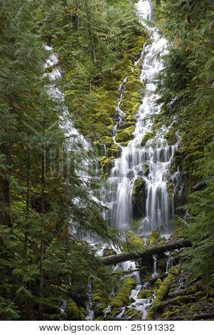 Lower Proxy Falls