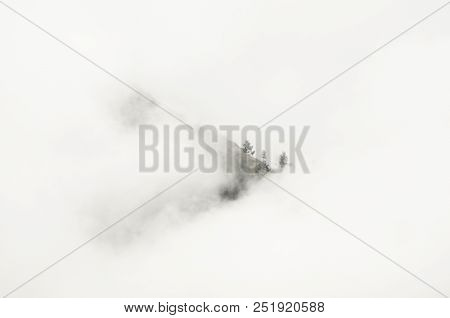 Pine Trees Can Be Seen Through The Fog On The Top Of The Mountain