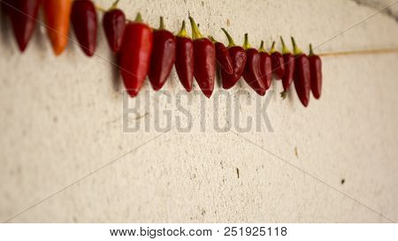 Necklace Of Fresh Ripe Chili Pepper Hanging To Dry In The Sun On A String. Gas Concrete Wall In Back