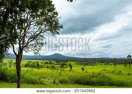 Meadow And Trees At Thung Salaeng Luang , Phetchabun In Thailand.