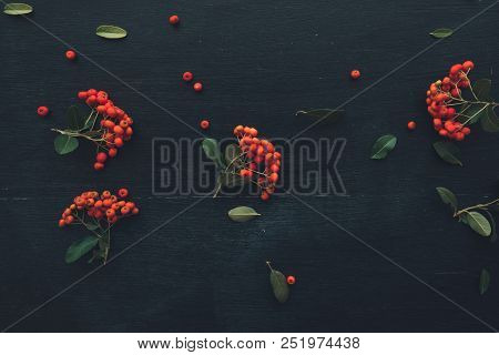 Flat Lay Red Wild Berry Cruit Arrangement, Top View Natural Pattern As Decoration On Black Wooden Ba