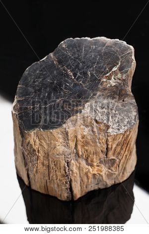 Piece Of Stone On A Studio Background