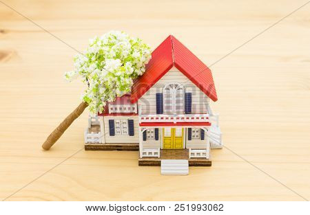 Fallen Tree Home Insurance Concept. Falling Trees On Left Home Or House For Insurance Concept Or Dis