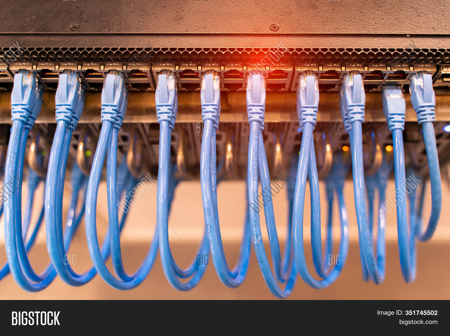 Network Cable Image & Photo (Free Trial) | Bigstock
