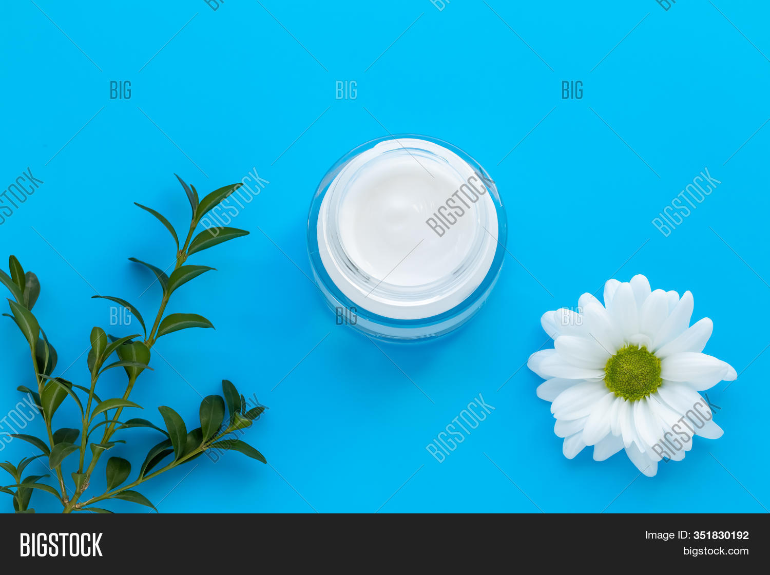 chamomile ointment cream
