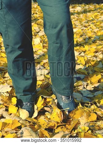 Gardener Legs With High Rubbery Boots Walk In Bright Yellow Leaves, Close Low Angle View