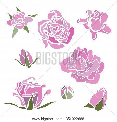 Vector colorful set with flowers. Pink rose. Clip-art elements for postcard, banner, t-shirt print, invitation, greeting card, poster