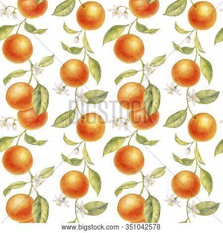 Watercolor Semless Pattern With Drawing Branches Of Orange Tree With Flowers, Leaves And Oranges At 