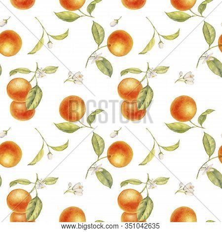 Watercolor Semless Pattern With Drawing Branches Of Orange Tree With Flowers, Leaves And Oranges At 