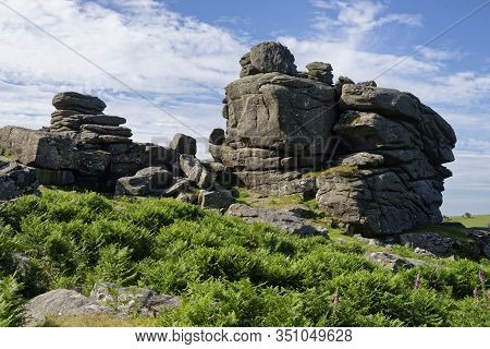 Morning Sun On Granite Rocks Of Hound Tor, Dartmoor, Devon; Uk